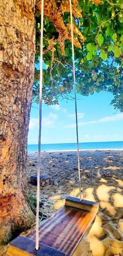 Swing hanging from tree on a sunny beach with ocean view.