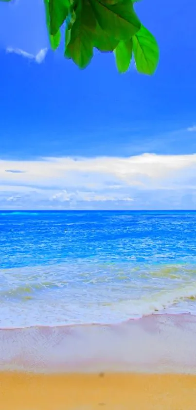 Beautiful beach with blue sky and ocean waves.