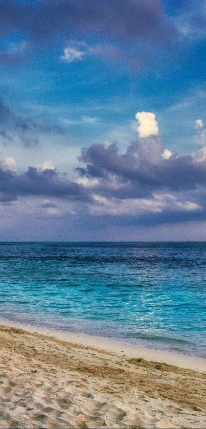 Serene beach with blue sky and ocean waves.