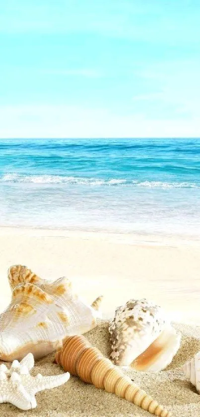 Beach wallpaper with seashells and blue ocean.