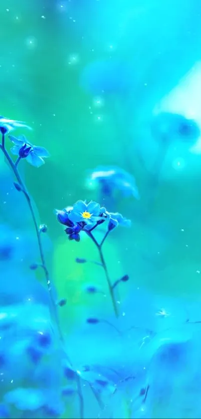 Serene blue floral mobile wallpaper featuring delicate flowers with soft light.