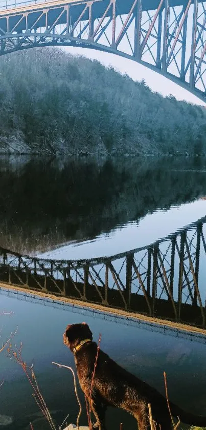 A scenic view of a bridge over a river with a dog in the foreground.