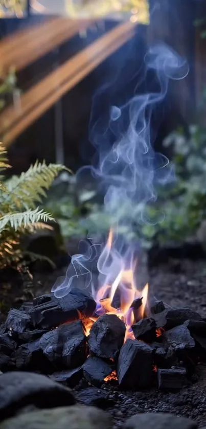 A campfire surrounded by nature with gentle smoke and sunlight streaming through.
