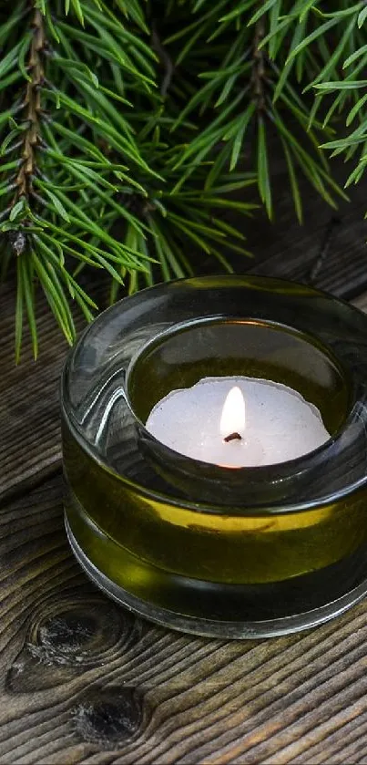 Candle with pine branches on wooden table wallpaper.