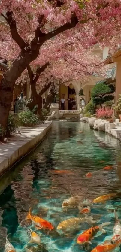 Cherry blossom trees over a koi pond.