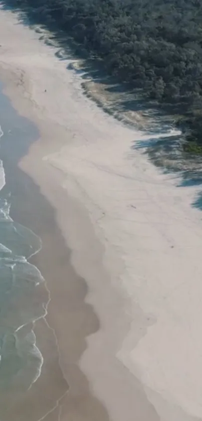 Aerial view of a serene beach with waves and coastal greenery.