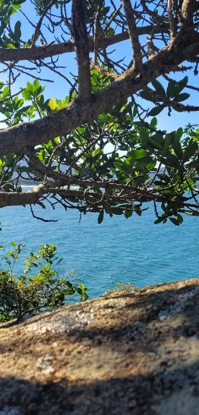 Mobile wallpaper with lush green leaves and a tranquil blue ocean view.