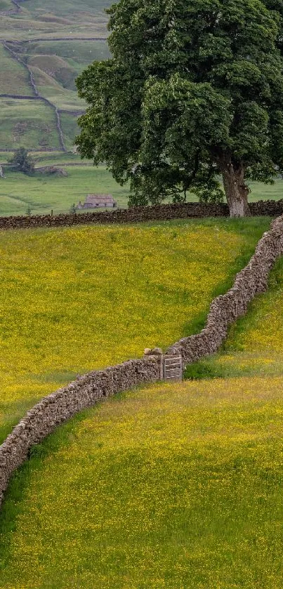 Lush green countryside with a stone wall and tree.