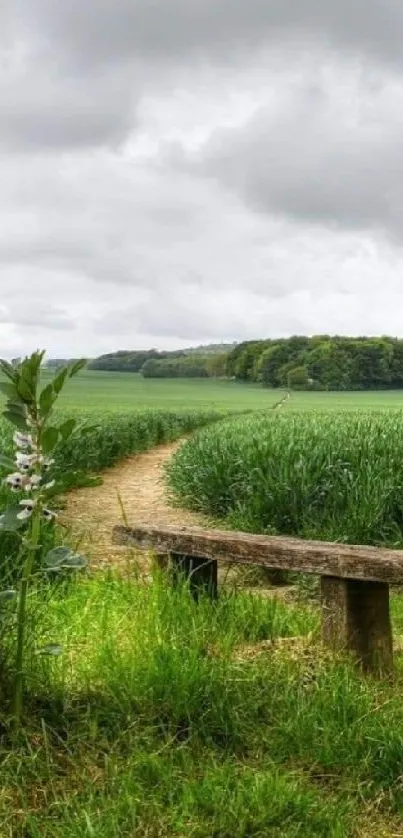 Tranquil path through lush green countryside and cloudy skies.