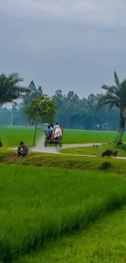 Scenic countryside with green fields and a rustic pathway.