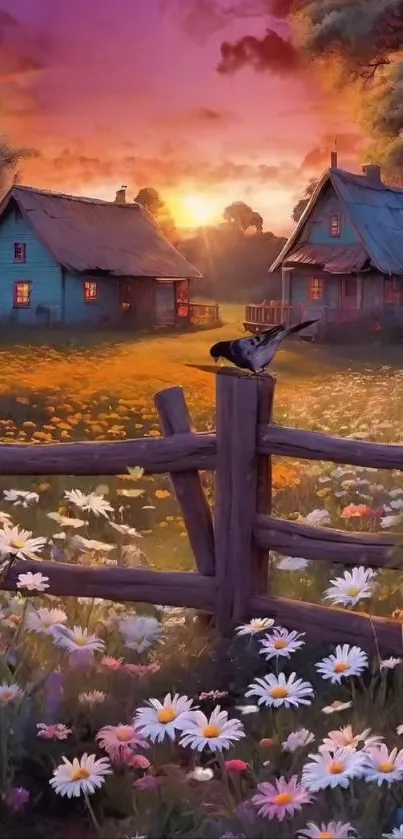 Daisy field with cottage under sunset sky.
