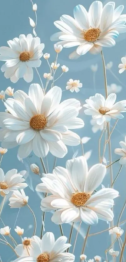 White daisies on a blue background, creating a tranquil floral wallpaper.