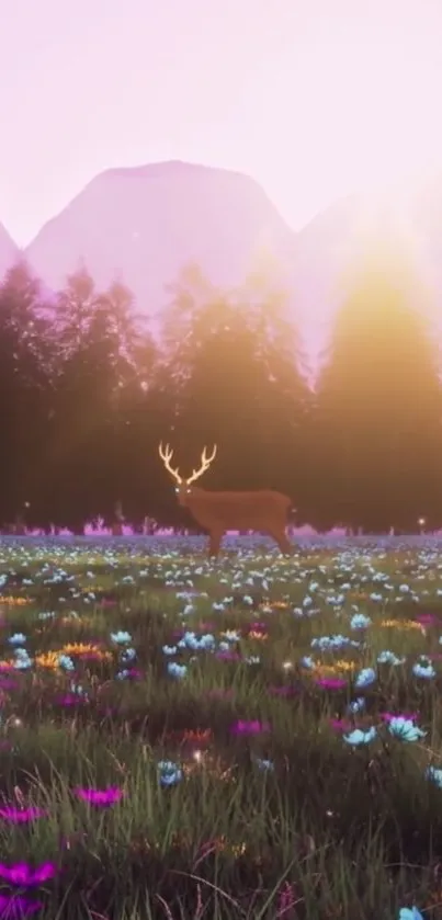 Deer standing in a colorful flower meadow with mountains at sunset.