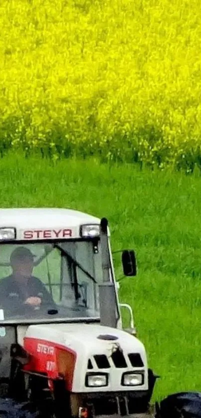 Tractor in vibrant green and yellow field wallpaper.