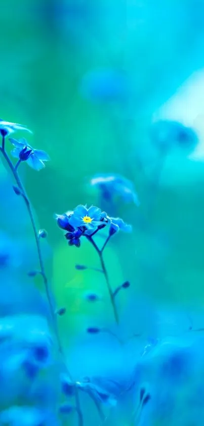 Blue floral wallpaper with serene flowers.