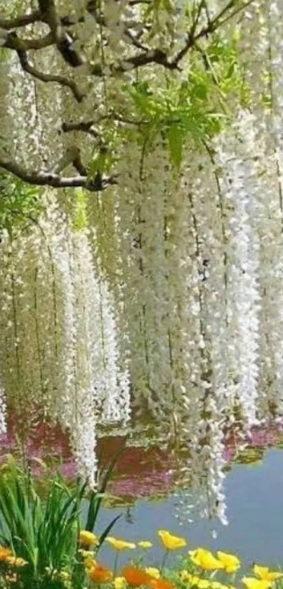 Tranquil garden wallpaper with white wisteria and orange flowers.