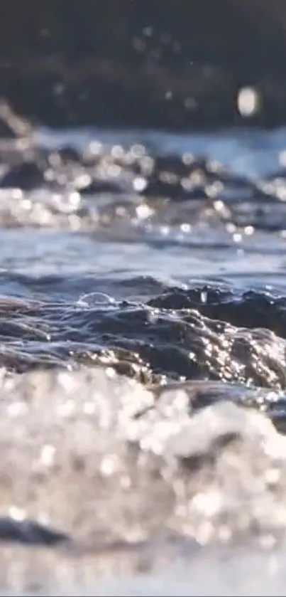 Tranquil flowing water reflecting sunlight in nature.