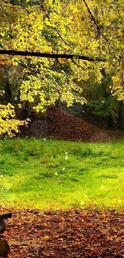 Serene autumn forest with bench and sunlight filtering through leaves.