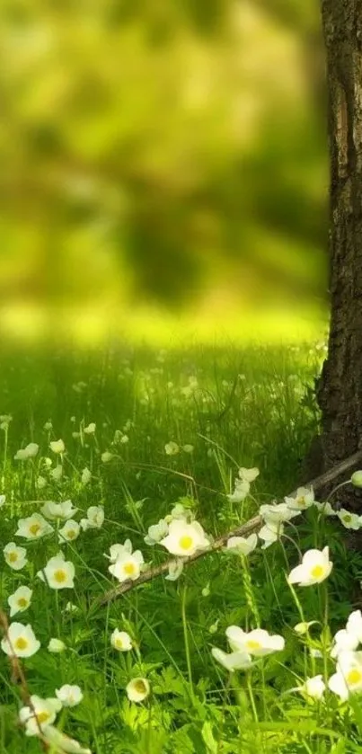 Serene nature wallpaper with flowers and a tree trunk.