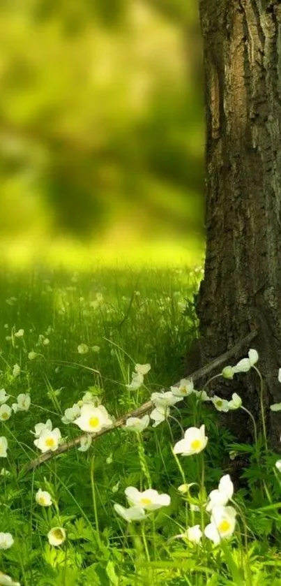 Serene green meadow with tree and flowers.