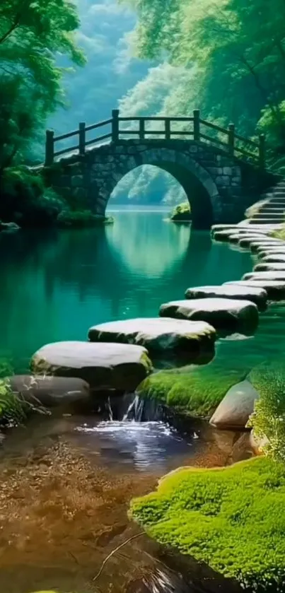 Tranquil forest bridge over a river with stepping stones.