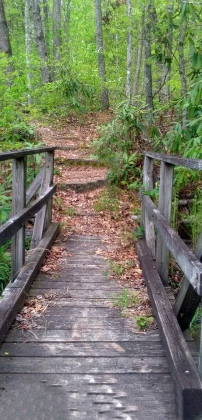 Tranquil wooden bridge in a lush forest setting for mobile wallpaper.