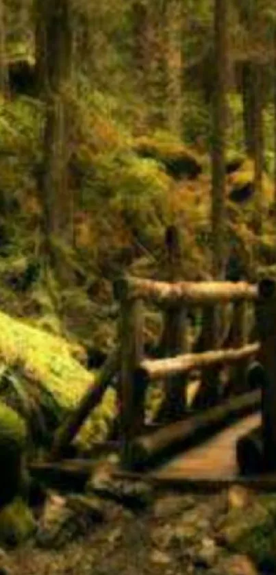 Rustic wooden bridge in a lush forest landscape.