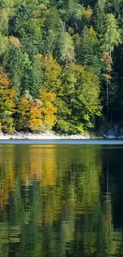 Calm autumn forest reflecting in a serene lake.