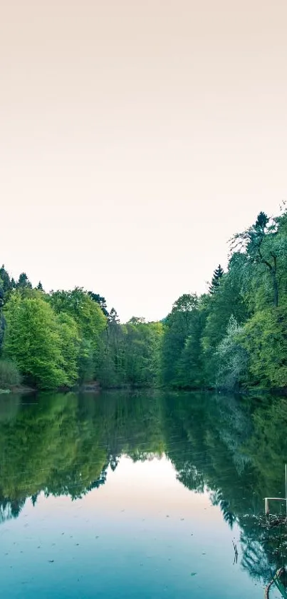 Serene forest and lake with reflection under a calm sky.