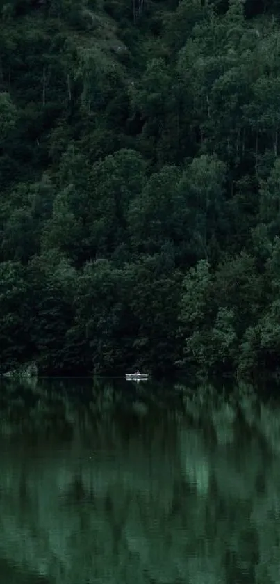 Serene forest lake view with reflections on water.