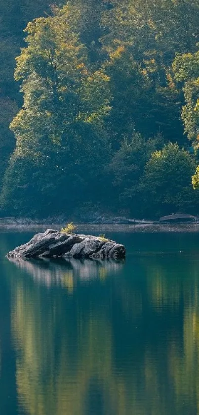 Tranquil forest lake with lush green trees and calm reflective water.