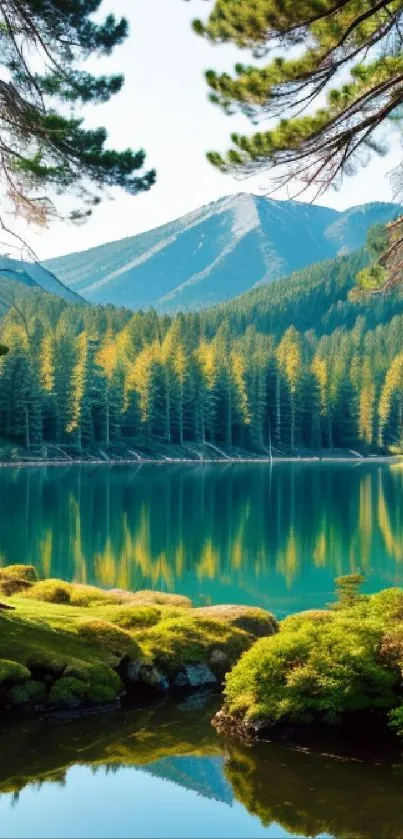 Serene forest lake with mountain backdrop reflecting in tranquil waters.