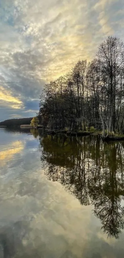 Tranquil forest reflected in a calm lake at sunrise.