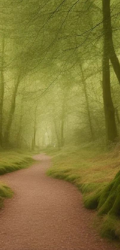 Tranquil forest path amidst lush green trees, ideal for nature-themed mobile wallpaper.