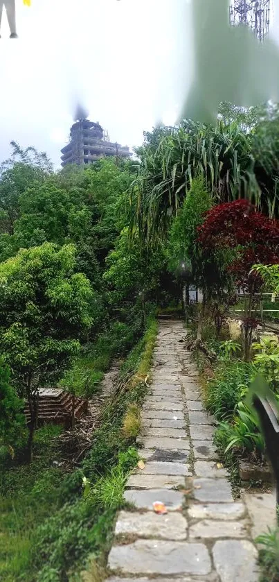 Tranquil forest path with lush greenery and stone walkway.