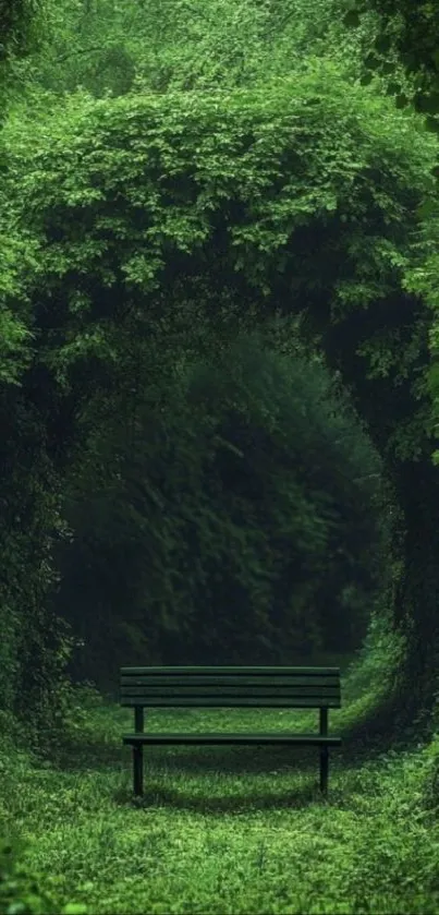 Green forest pathway with bench, serene.