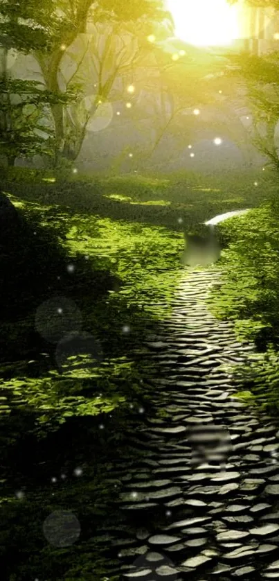 Sunlit forest path with green foliage and scattered light.