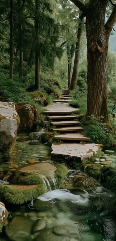Tranquil forest pathway with lush greenery and serene water view.