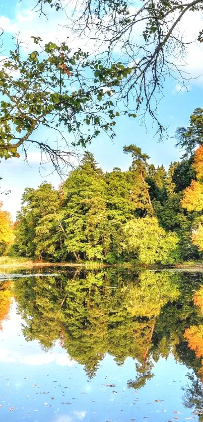 Scenic forest with lake reflections and autumn colors in a serene landscape.