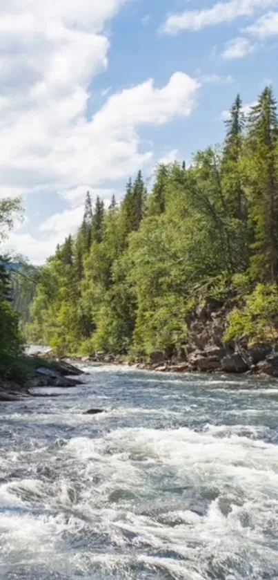 Tranquil river flowing through forest with lush greenery and bright sky.