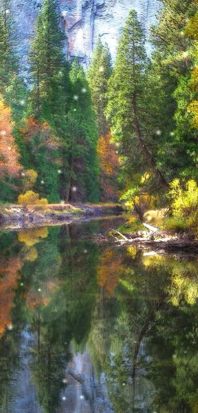 Reflective forest river with lush trees in serene nature setting.