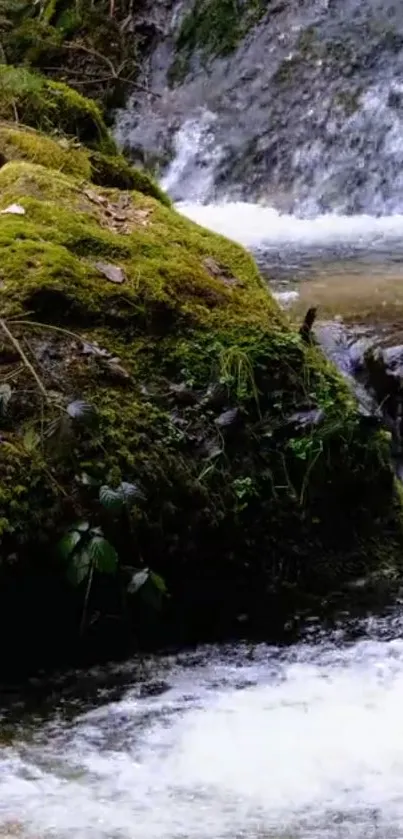 Lush mossy rock by a cascading forest stream.