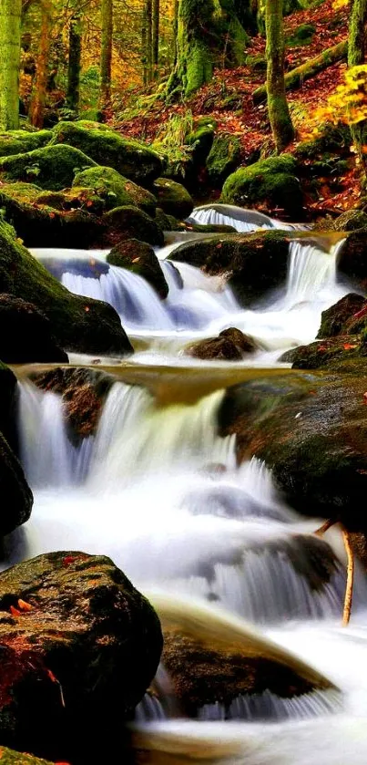 Serene forest stream with lush greenery and flowing water.