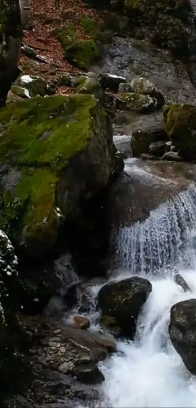 Tranquil forest stream with green moss and cascading water in nature.