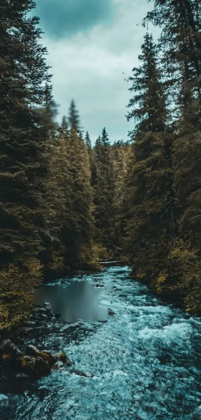 Serene forest stream mobile wallpaper with lush green trees.