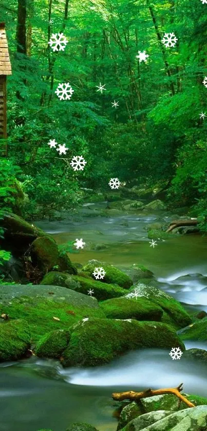 Serene forest stream with lush green surroundings and gentle flowing water.