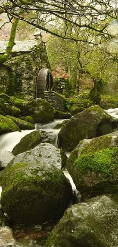 Moss-covered rocks and forest stream enhance a tranquil mobile wallpaper.