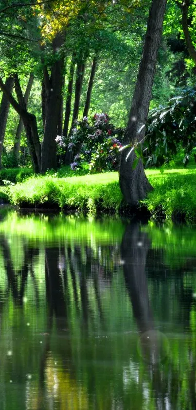 Serene forest stream with lush greenery and reflective waters.