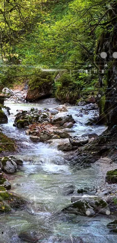 A tranquil forest stream with gentle water flow and lush green surroundings.