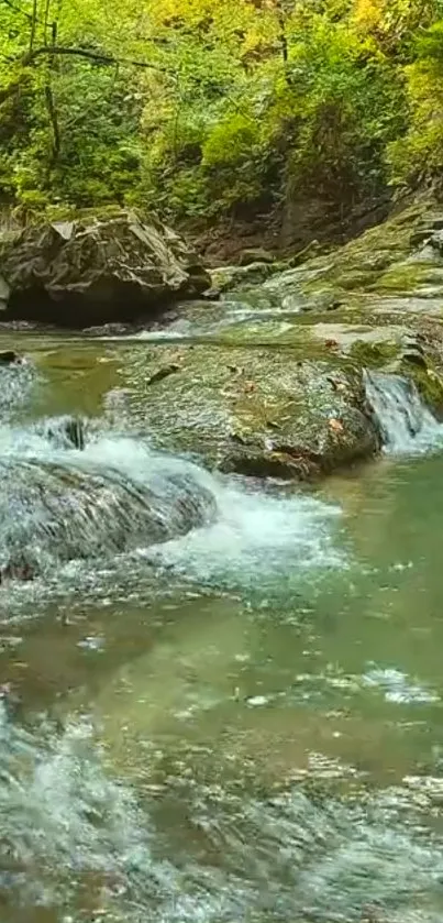 Serene forest stream wallpaper with green hues.